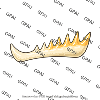 Tooth conodont