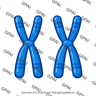 Homologous chromosomes