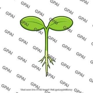 Dicot seedling