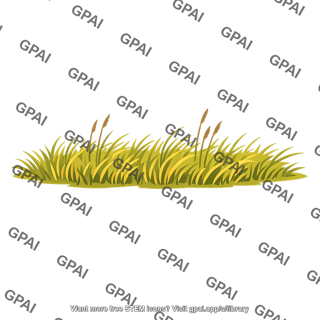 Prairie grass patch