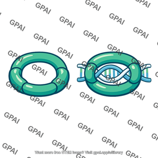 Cohesin ring
