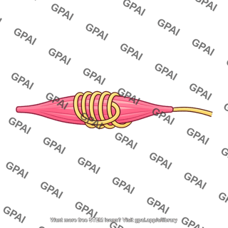 Vertebrate stretch receptor