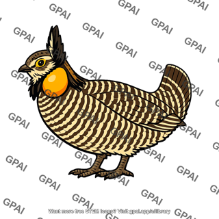 Greater prairie chicken