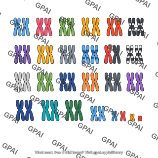 Chromosome set duplicated