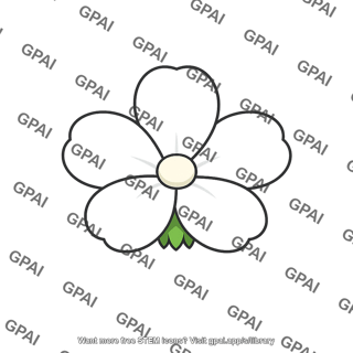 Wildflower flower white