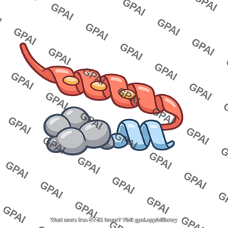 Activation domain