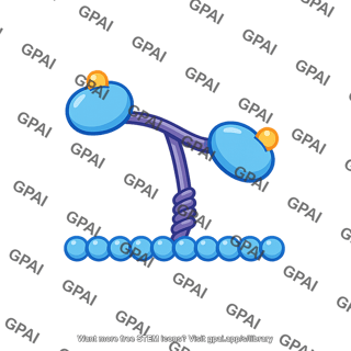 Motor protein changed