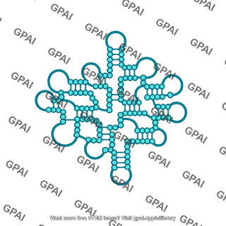 Small subunit rrna