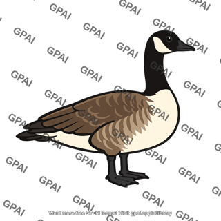 Canada goose