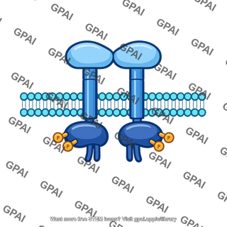 Receptor tyrosine kinase dimerized