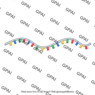 Dna single strand