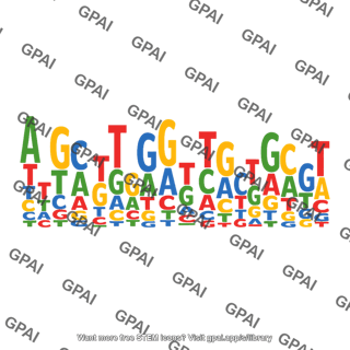 Dna sequence logo