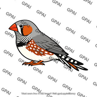 Zebra finch male ornamented