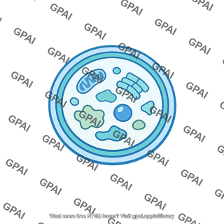 Autophagosome