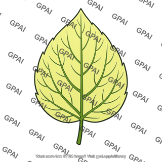 Chlorotic leaf