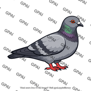 Pigeon