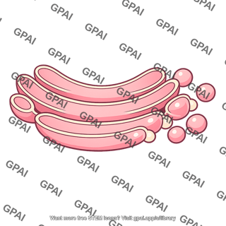 Trans golgi