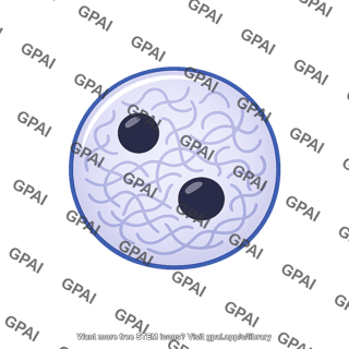 Nucleus g1