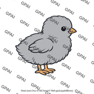 Chick gray