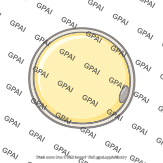 Fat cell