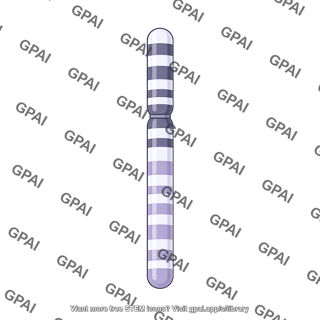 Chromosome cytogenetic map