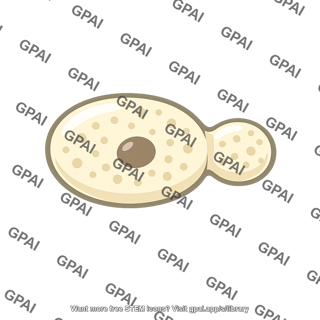 Wine yeast cell budding