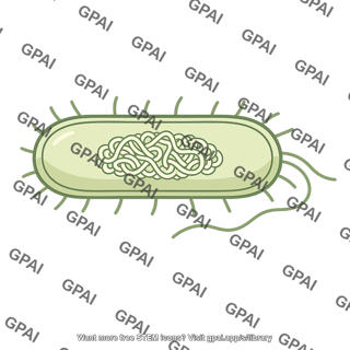 Rod shaped bacterium