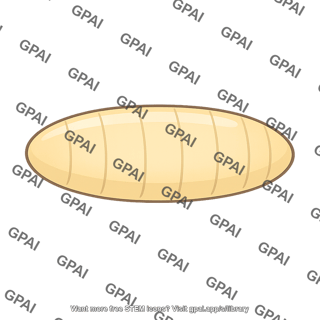 Embryo drosophila