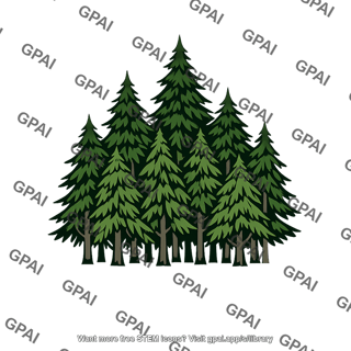 Spruce hemlock forest