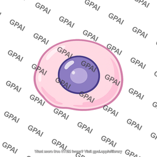 Embryonic precursor cell