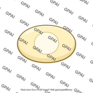 Insect fertilized egg