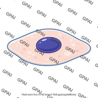 Cultured mammalian cell
