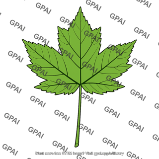 Red maple leaf green