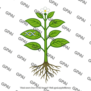 Transgenic plant