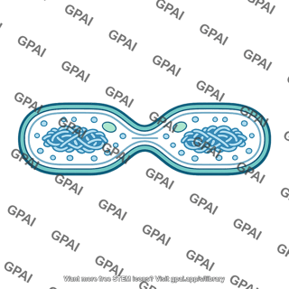 Prokaryotic cell dividing