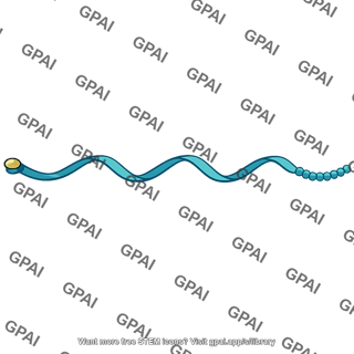 Messenger rna maternal