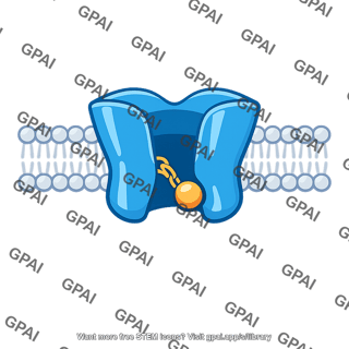 Sodium channel inactivated