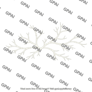 Mycelium haploid