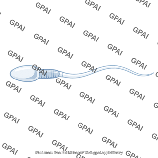 Animal sperm