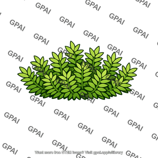 Green shrub