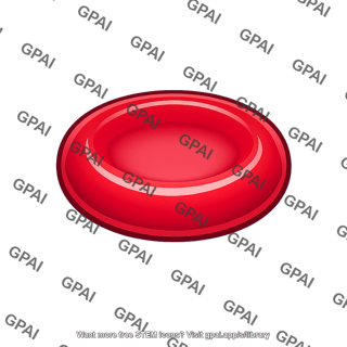 Red blood cell normal
