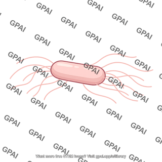 Salmonella
