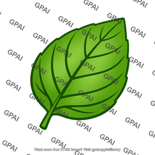 Basil leaf
