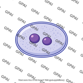 Daughter nucleus