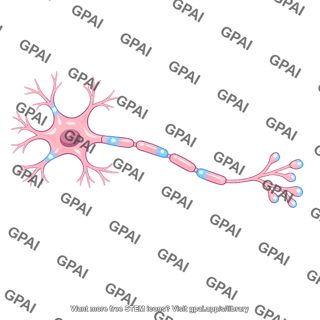 Nerve cell activated
