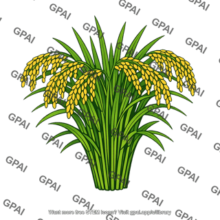 Cultivated rice plant
