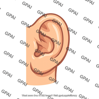 Earlobe attached