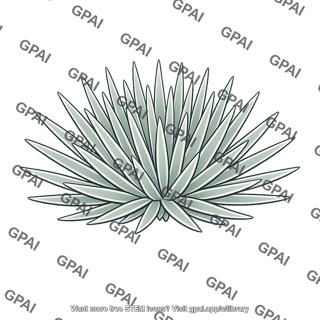 Hawaiian silversword