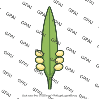 Microsporophyll