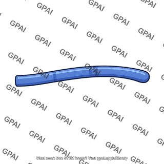 Chromosome arm